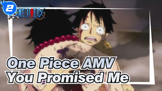 [One Piece AMV] Luffy: Do You Remember We Have an Agreement? You Promised Me... Why..._2