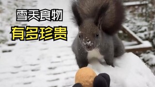 เวลาอาหารของเหล่าสัตว์!