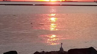 beautiful sunset ☀️🌇😲