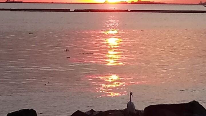 beautiful sunset ☀️🌇😲