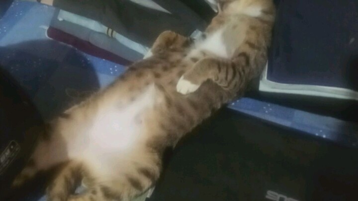 aduh lemasnya ...kapan bedug nya