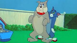 [Tom and Jerry] Geng putus cinta