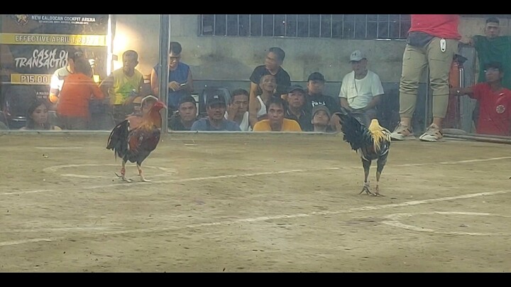 2nd fight