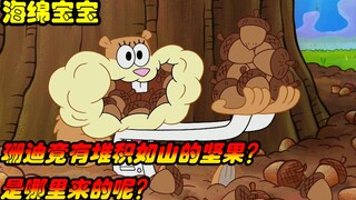 海绵宝宝：珊迪竟有堆积如山的坚果？是哪里来的呢？