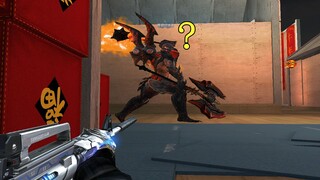 What the hell are you walking past?