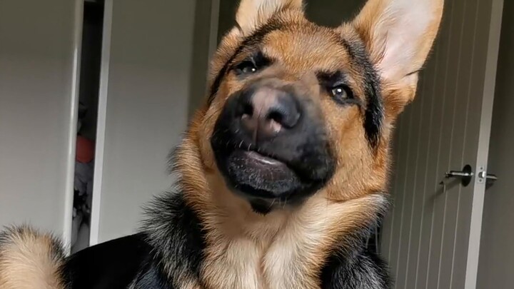 Please @ your boyfriend