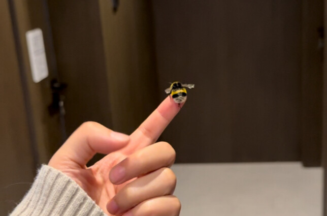 🐝 What’s the point of raising anything?