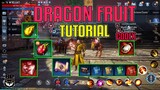 Dragon Fruit Tutorial (Tagalog) MIR4