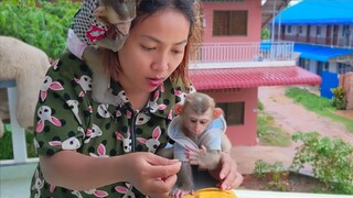 Take Toto & Yaya to see the rain & found the insect  Yaya want to taste it but Mom doesn't allow