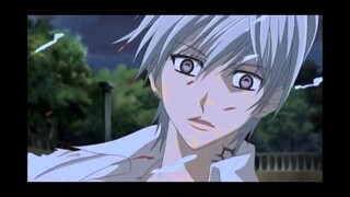 Yuki♥Zero (Vampire Knight)