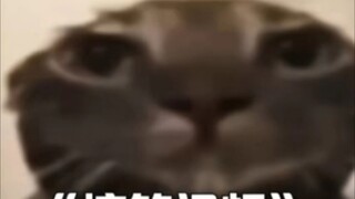 功德－999