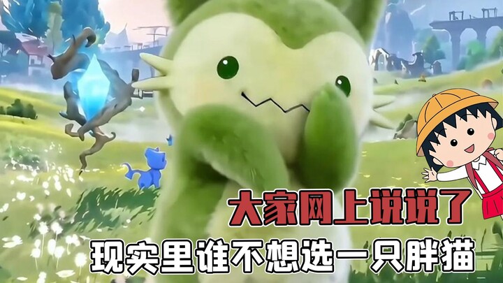 Everyone’s just chatting about it online—let’s be real, who wouldn’t want a chubby cat in real life?