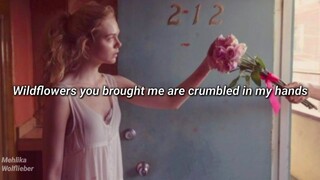 Elle Fanning - Wildflowers (Lyrics)