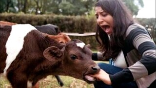 0% win :) Try not to laugh