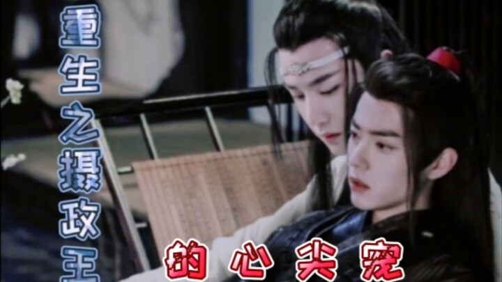 【忘羡‖双洁】重生之摄政王的心尖宠 27