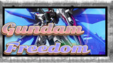 Gundam-Freedom_D