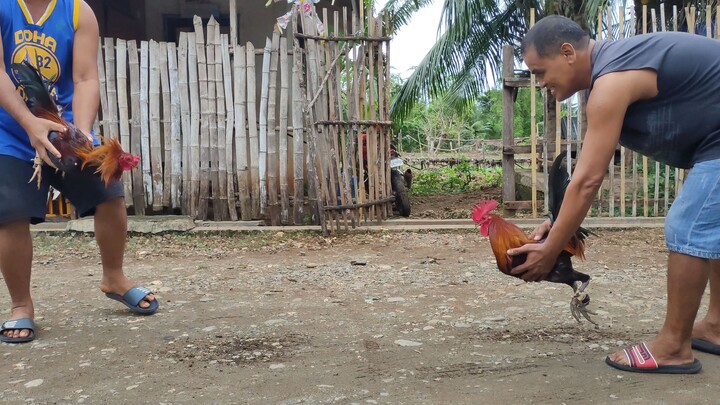 saan po ba magaling mga idol?