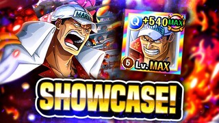 Can't Touch This! 🔥 VS. AKAINU SHOWCASE! (ONE PIECE Treasure Cruise)