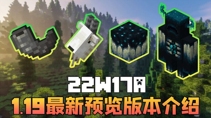 ★ Minecraft ★ Giới thiệu phiên bản mới nhất 1.19 22w17a của Tử Mân