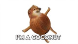 i am a coconut