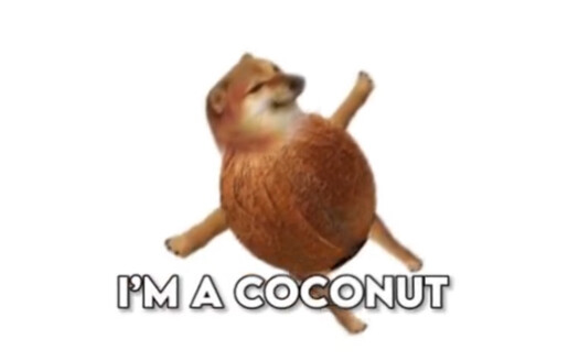 saya adalah kelapa