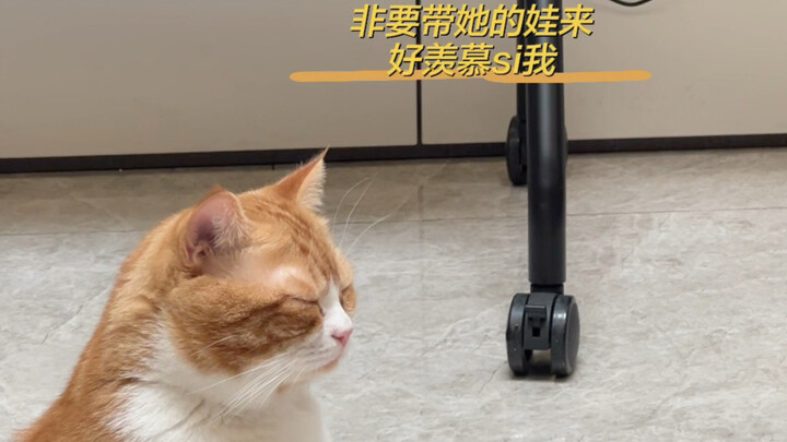 When my friend said I’d rather raise a cat than have kids, she brought her baby over to my place…