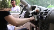 "Everyday Situations" 19: Car Alarm Parker Zippel's Reaction