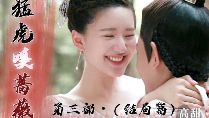 【Super Sweet | Tiger Sniffs Rose, Part 3: Rebirth, Repaying Debts, and Winning Back His Wife】Rumor h
