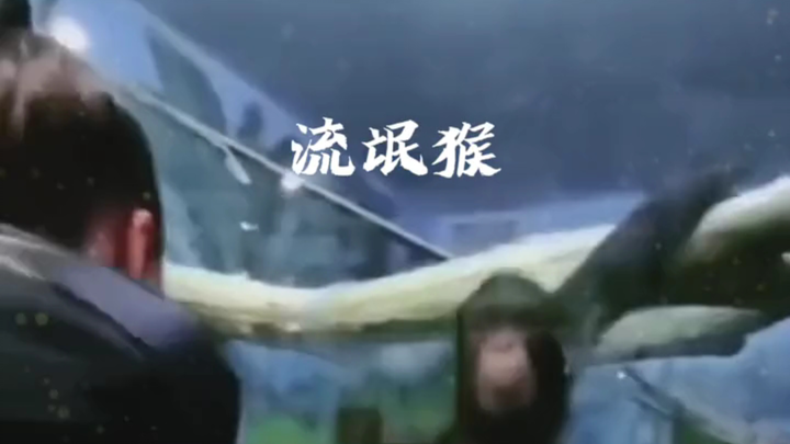 好不正经的猴子