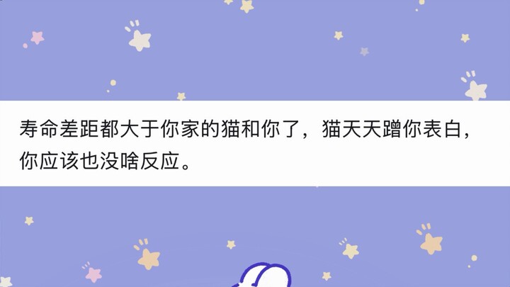 Why doesn’t Simmer just tell Freelen how much he likes her?