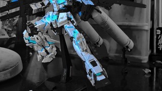 Sejak itu, seekor binatang bangkai yang berdiri telah kehilangan impiannya untuk berpose.