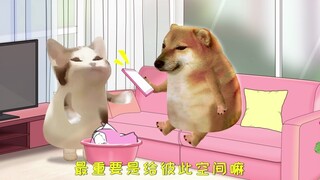 你怎么还录音啊
