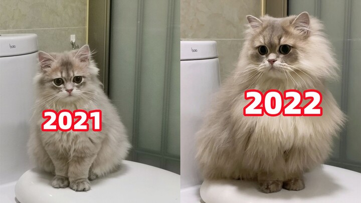 ปีนี้เธอคงกินไอติมคาวาอิดอกนะ~