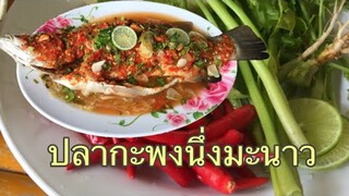 ปลากะพงนึ่งมะนาว ทำง่ายอร่อยและไม่คาวกินกับข้าวสวยร้อนๆสูตรนี้ไม่แพ้สูตรไหนแน่นอน