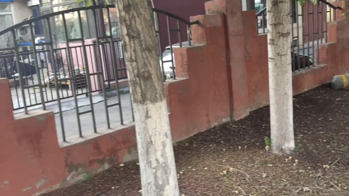 June 2022: A Street Tour of Shenyang – The Era of “Harsh Tactics” Is Over