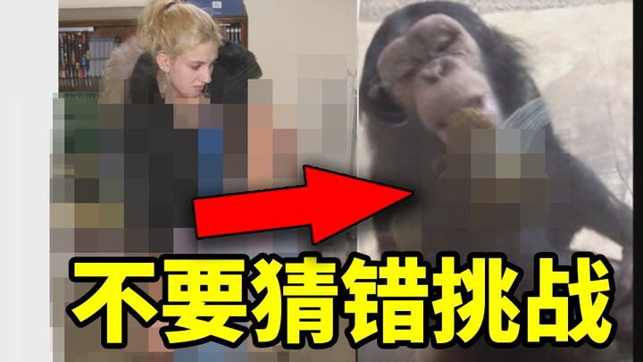 【Don’t Get It Wrong Challenge】The monkey eats Oli! Beautiful lady! Which one do you choose?!
