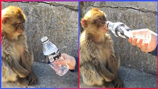 Random Acts of Kindness That Will Make You Cry! 😭 #2