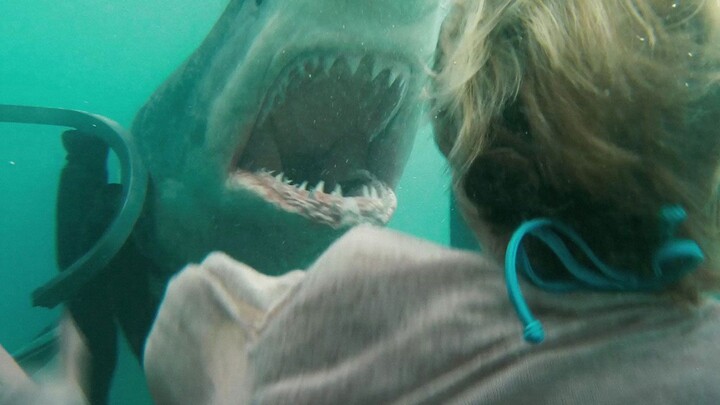 Suspense Movie - Shark.Night.2011
