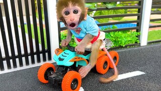 Monkey Baby Bon Bon order a motorbike and drove to the playground with the puppy