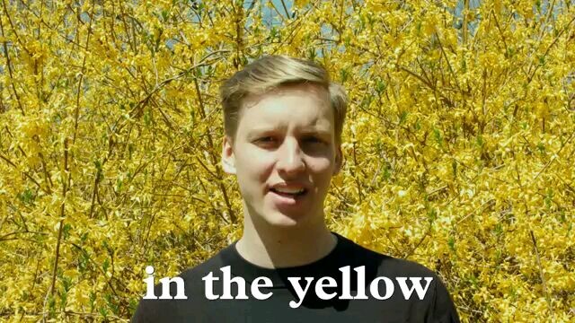 GeorgeEzra-Shotgun(OfficialLyricVideo)