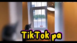 TikTok pa