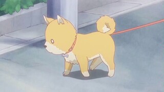 Bang!!! Hit the puppy's heart