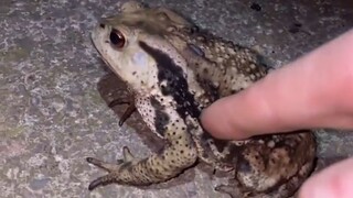 这手不能要了