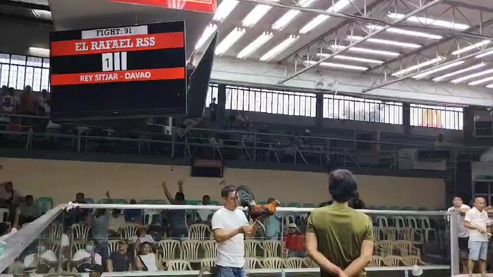 3 Stag Elims WPC Fullshow of SF Melsimshatch over SheltonRoundhead of EL RAFAEL GF WWW
