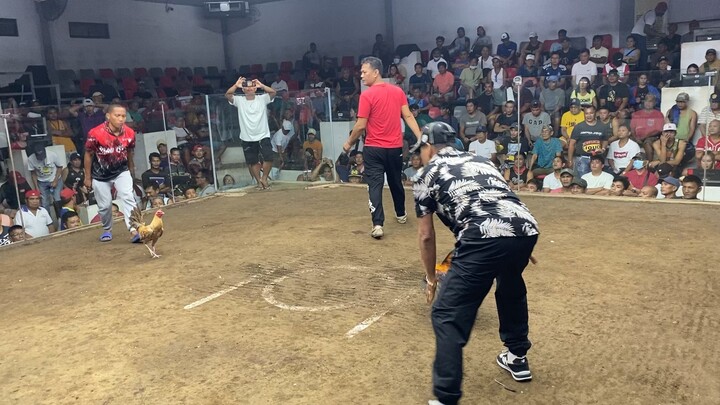 Kf bitaw ni boss cresta bonita gf