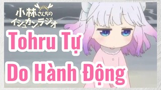 Tohru Tự Do Hành Động