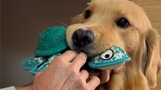 去问诊莫名戳中了医生的笑点