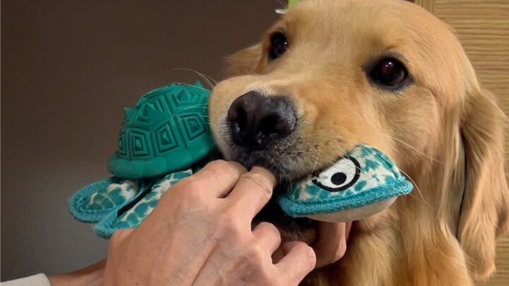 去问诊莫名戳中了医生的笑点