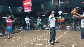 Bulik Texas asil Solido