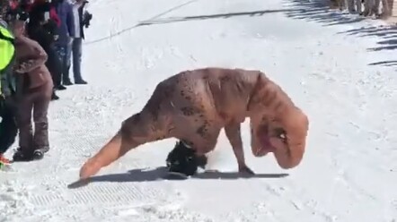 The most important thing about skiing is having fun!